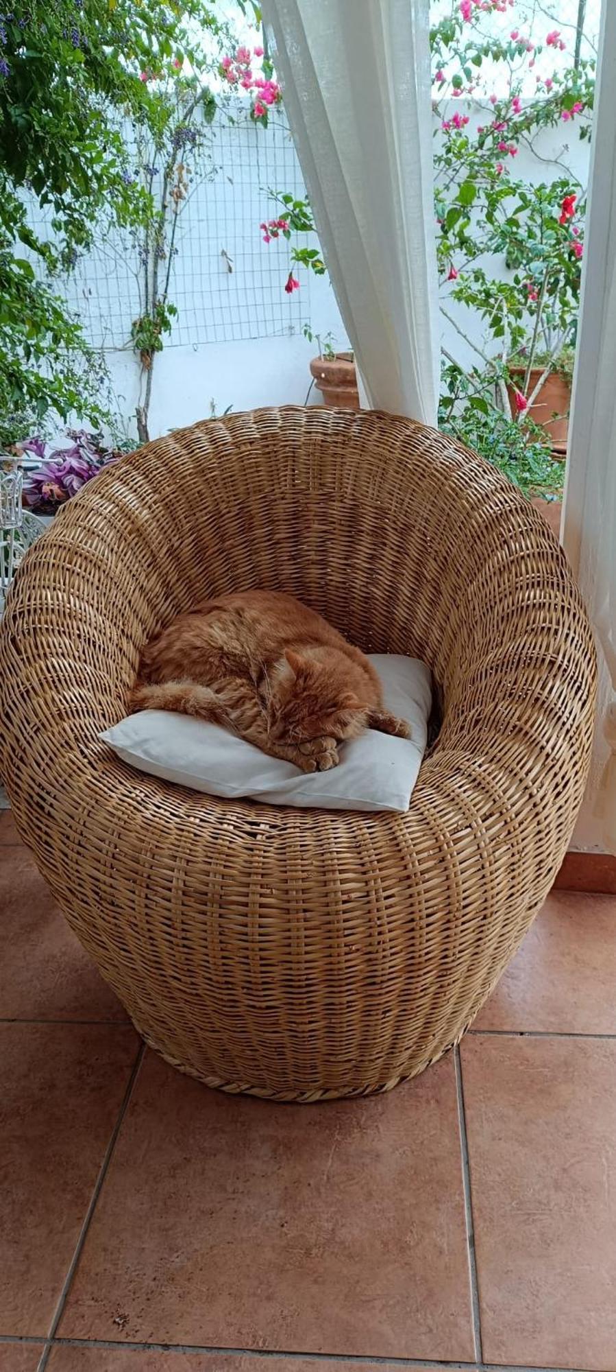B&B Le Vele Maruggio Kültér fotó