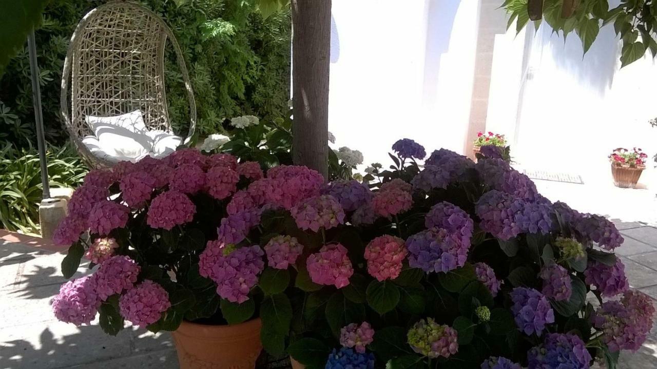 B&B Le Vele Maruggio Kültér fotó