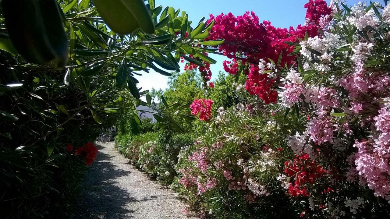 B&B Le Vele Maruggio Kültér fotó
